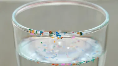 Can You Actually Avoid Microplastics? Here’s Everything You Need To Know